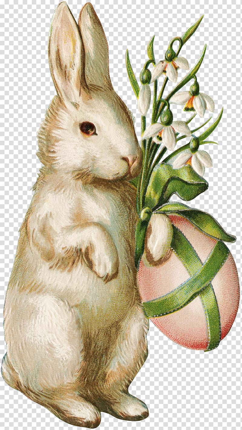 Easter Bunny Wedding invitation Easter egg Easter postcard, Easter transparent background PNG clipart