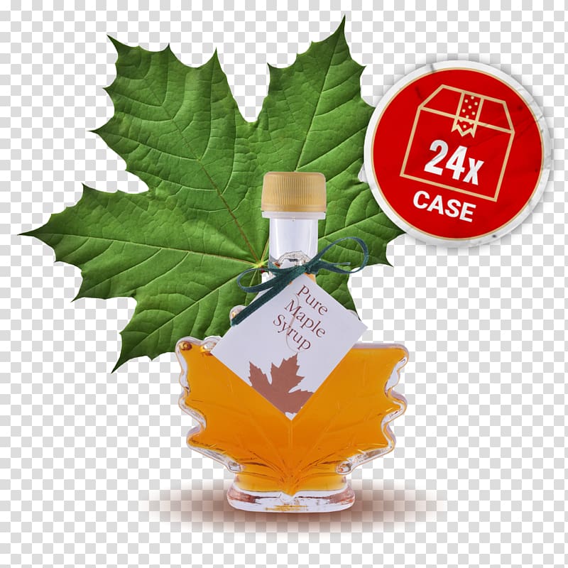 Maple leaf cream cookies Maple syrup Sugar maple, Leaf transparent background PNG clipart