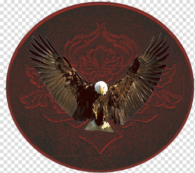 Copyright Product All rights reserved Price Maroon, eagle vinyl graphics transparent background PNG clipart