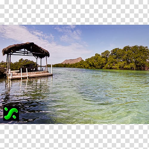 Lake Reservoir Waterway Inlet Water transportation, red mangrove transparent background PNG clipart