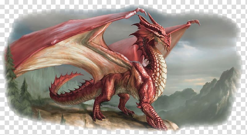 European dragon Legendary creature Welsh Dragon Chinese dragon, chromatic dragons transparent background PNG clipart