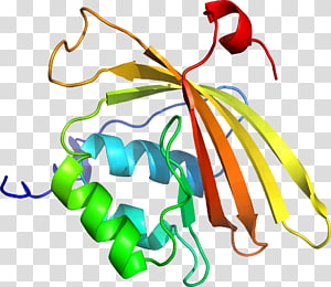 Plant stem Line , line transparent background PNG clipart thumbnail