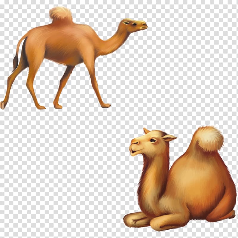 Cartoon Silhouette Illustration, Camel transparent background PNG clipart