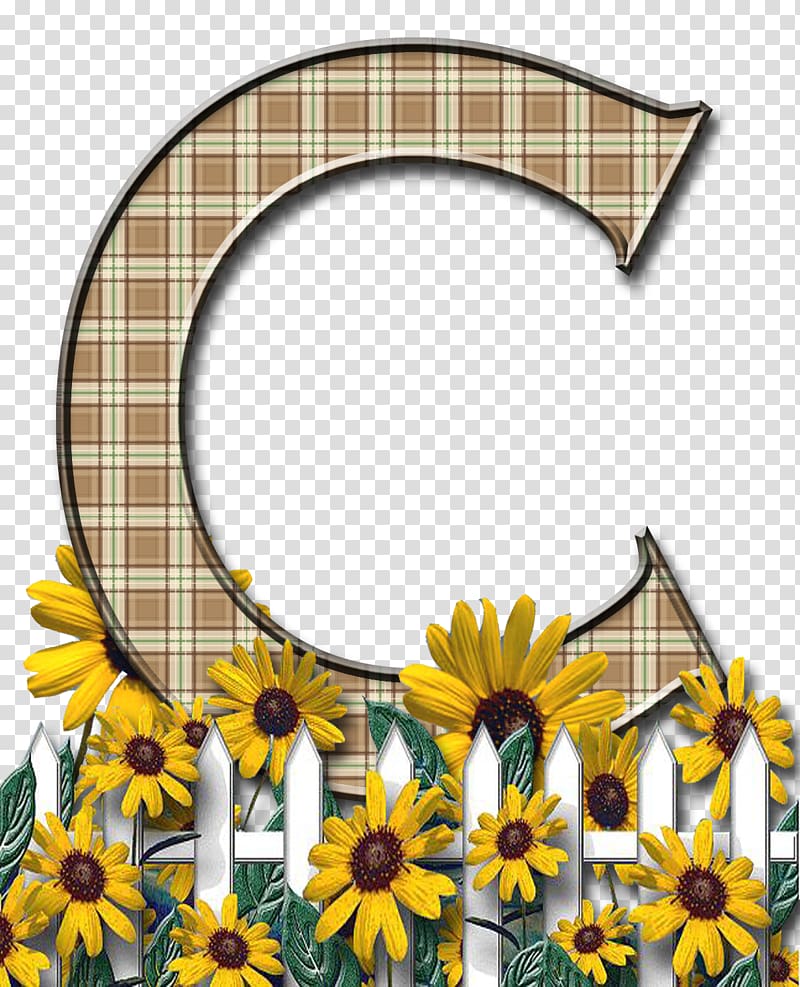 Letter case Alphabet Flower, letter C transparent background PNG clipart