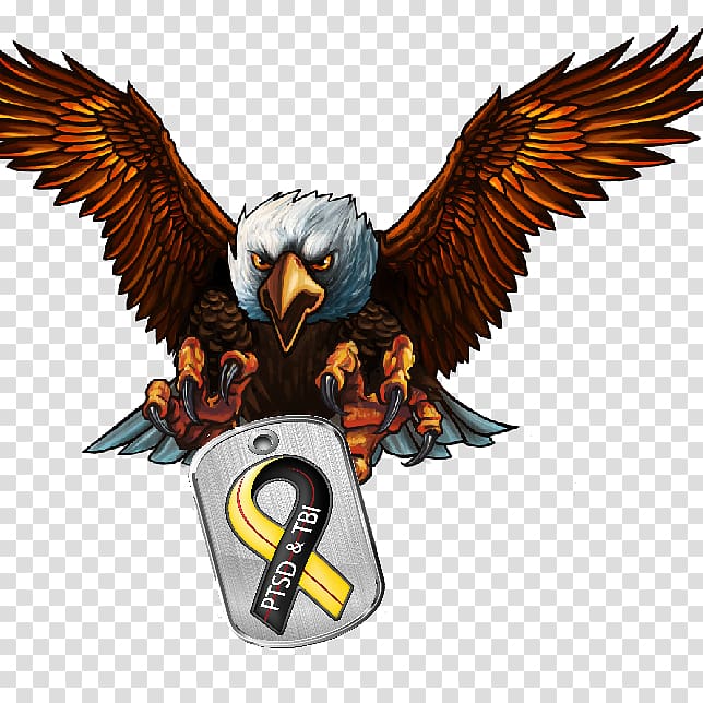 Veteran Posttraumatic stress disorder Military YouTube Compeer, steinadler transparent background PNG clipart