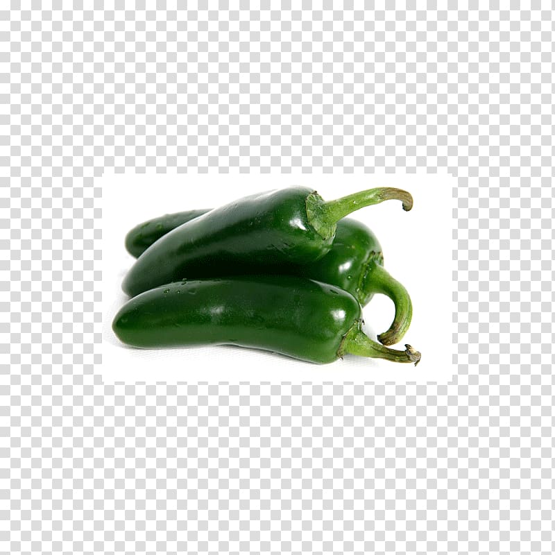 Habanero Serrano pepper Jalapeño Poblano Pasilla, others transparent background PNG clipart