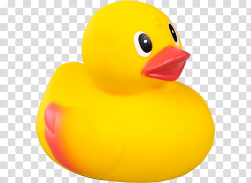 Rubber duck transparent background PNG clipart