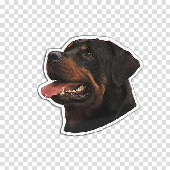 Black and Tan Coonhound Rottweiler Dog breed Snout, rottweiler transparent background PNG clipart