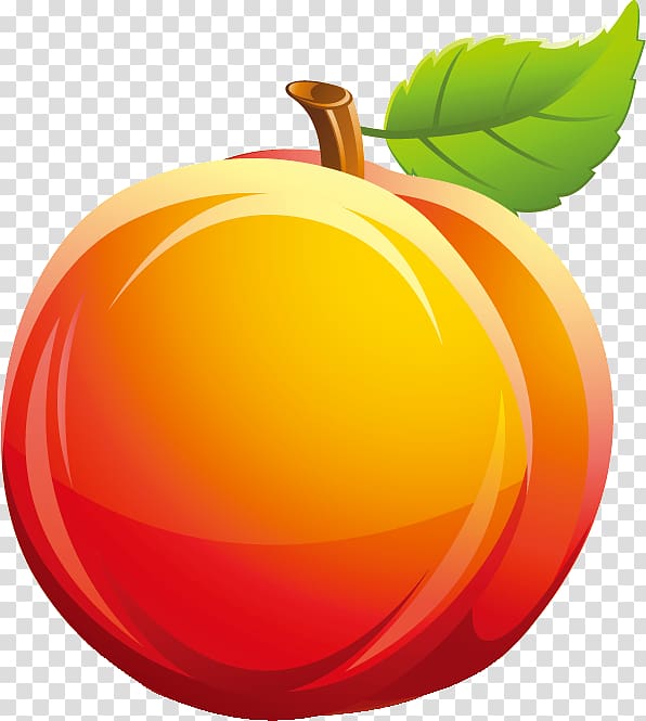 Peach Fruit Juicer Auglis Common plum, summer Season transparent background PNG clipart