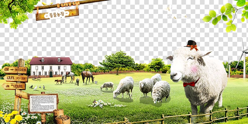farm game , Sheep Cattle Farm Animal husbandry Ranch, Captivity sheep transparent background PNG clipart