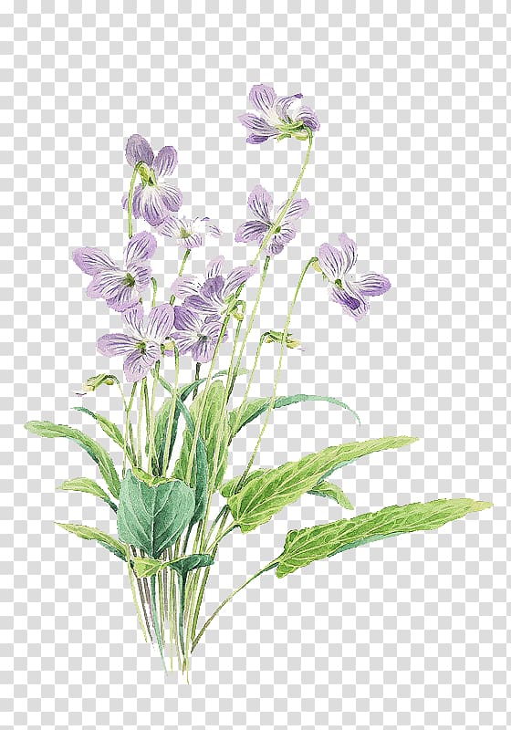 Small fresh purple painted flowers, purple flowers in bloom transparent background PNG clipart