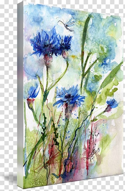 Floral design Cornflowers Watercolor painting, Watercolor wildflowers transparent background PNG clipart