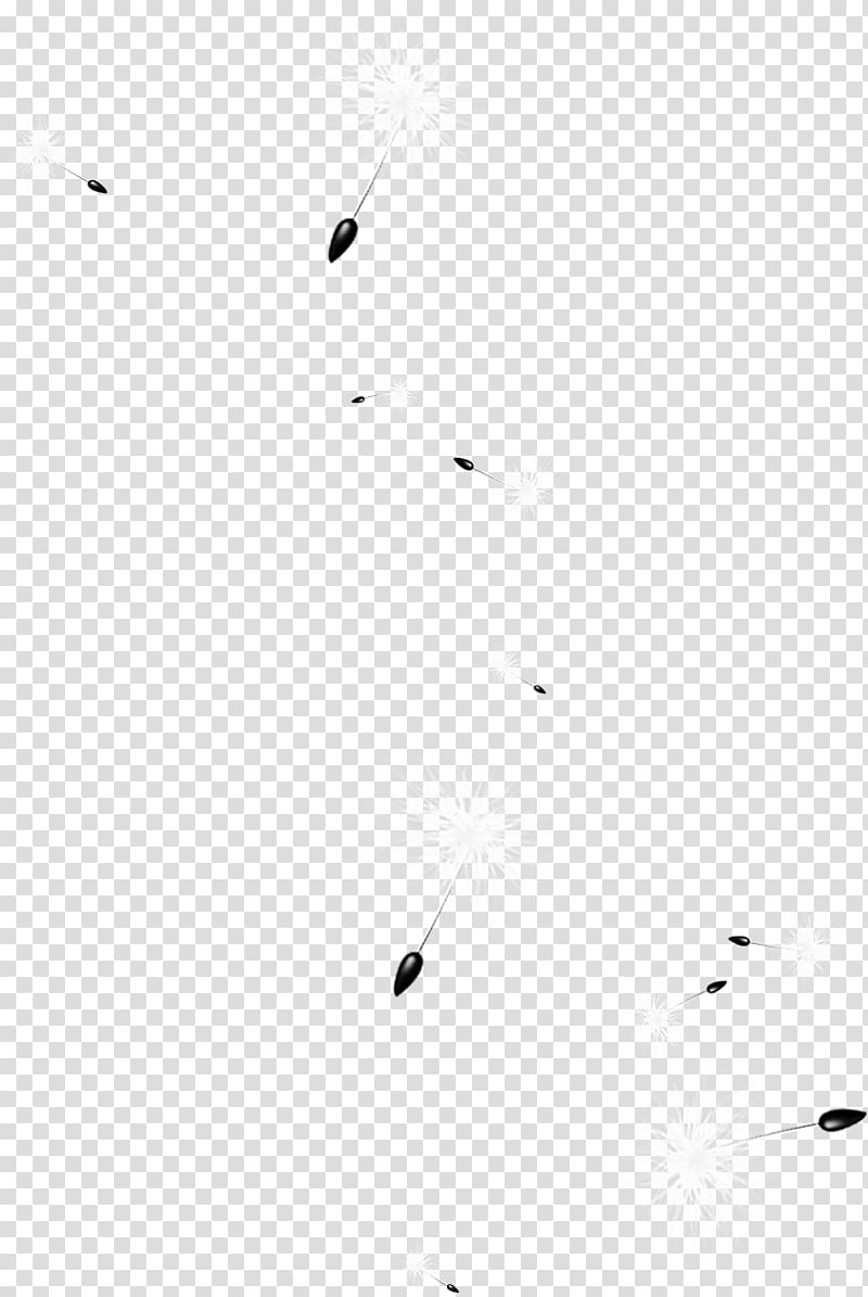 White Black Pattern, Dandelion material map transparent background PNG clipart