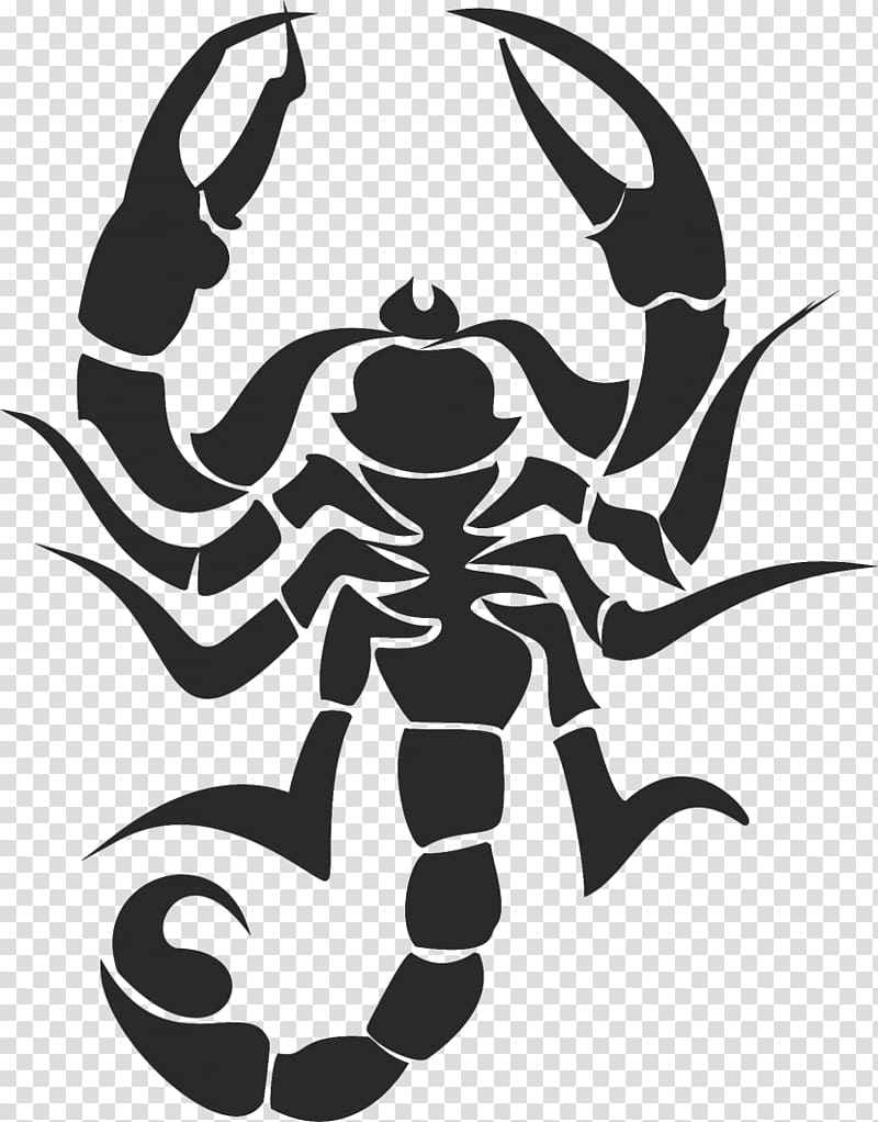 Scorpion , scorpions transparent background PNG clipart