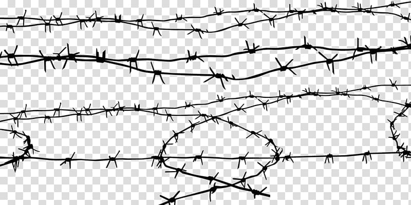 Barbed wire Computer file, A section of barbed wire, barbwire illustration transparent background PNG clipart