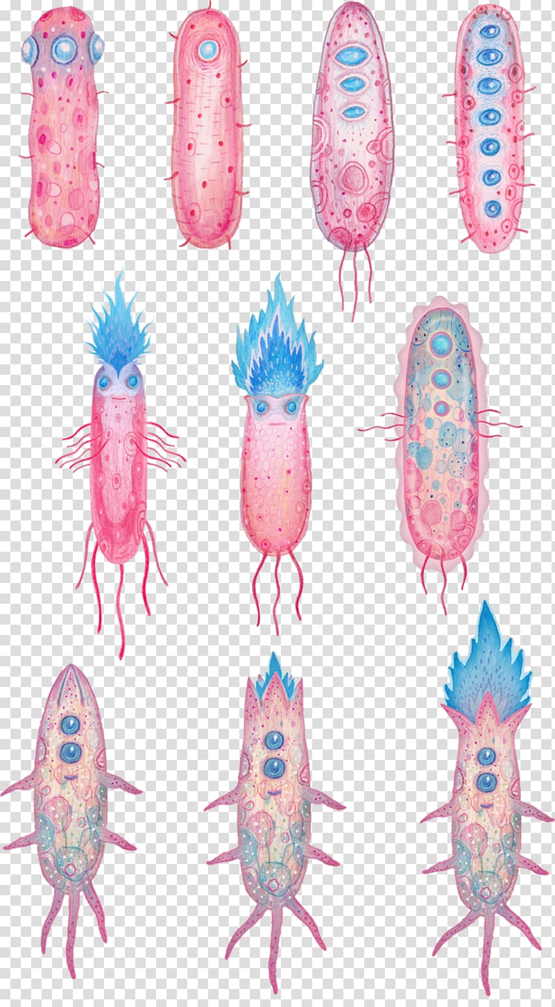 Animation Cartoon Bacteria , bacteria transparent background PNG clipart