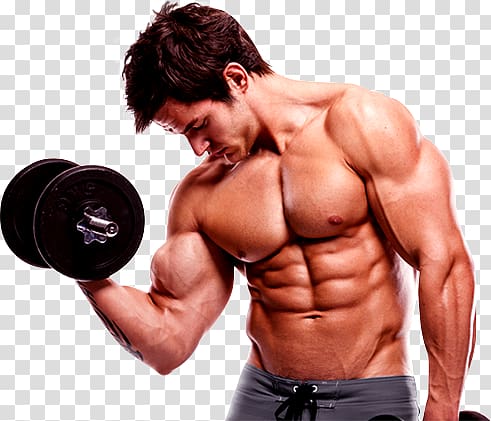 Bodybuilding transparent background PNG clipart