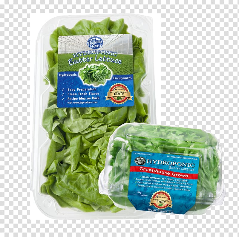 Lettuce Pesticide residue Tanimura & Antle, lettuce transparent background PNG clipart