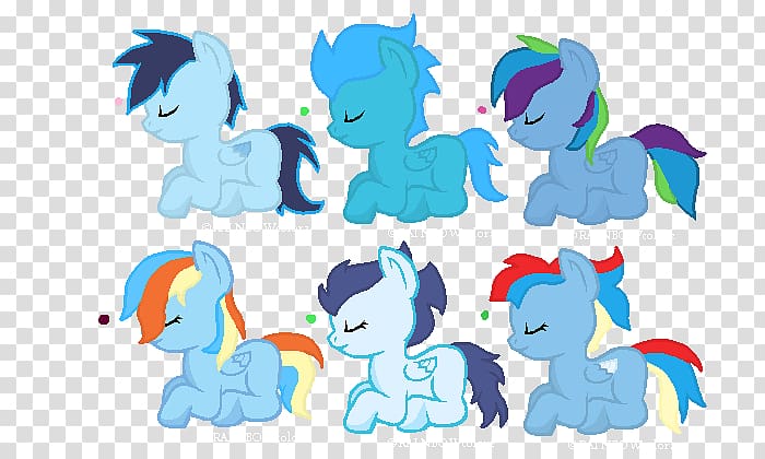 My Little Pony Rainbow Dash Horse Foal, seven color rainbow transparent background PNG clipart