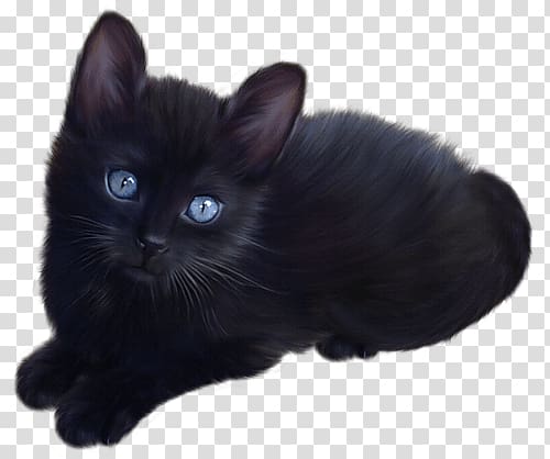 Bombay cat illustration, Cute Little Black Cat transparent background PNG clipart