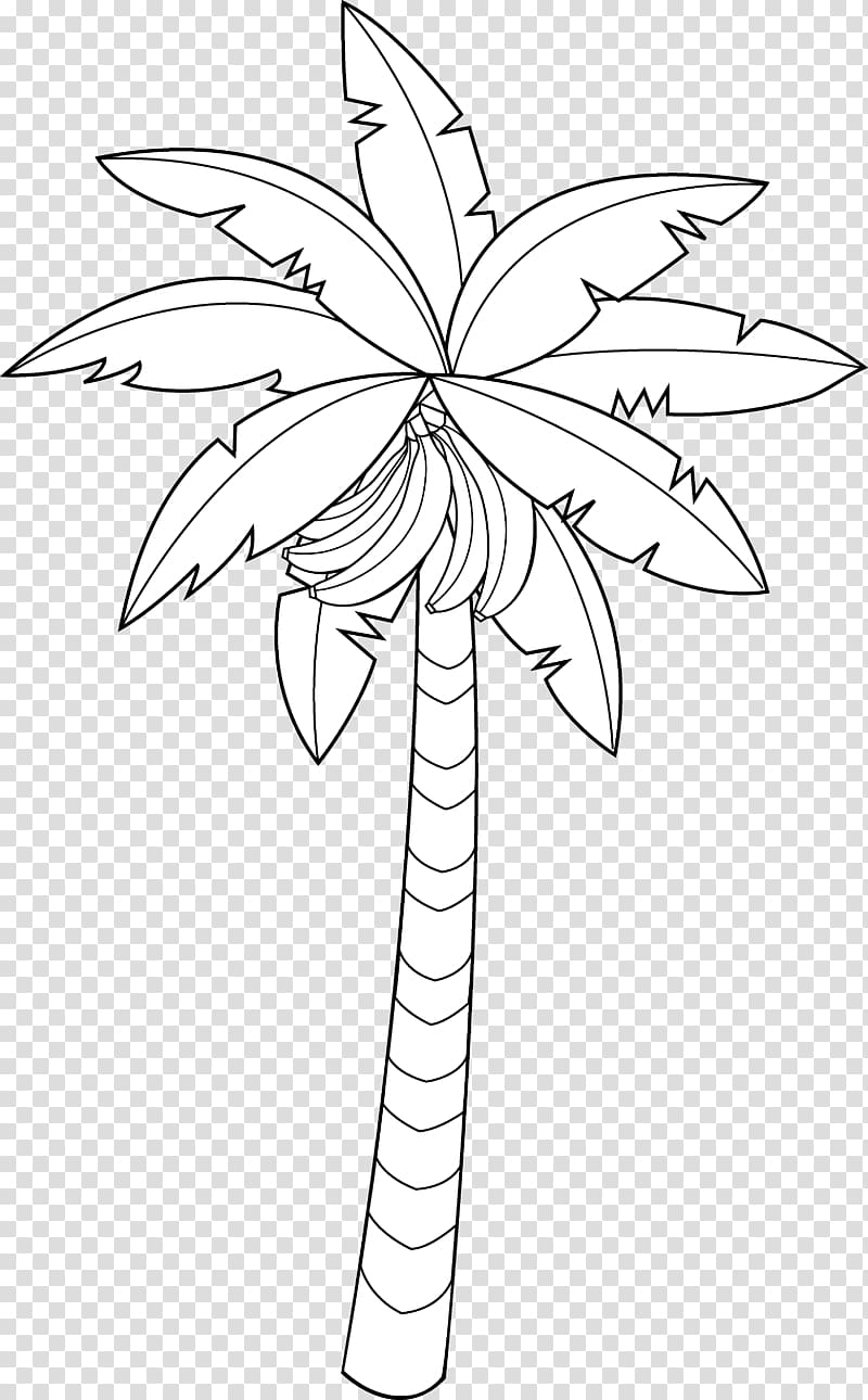 Banana Drawing Coloring book Tree , Banana Outline transparent background PNG clipart