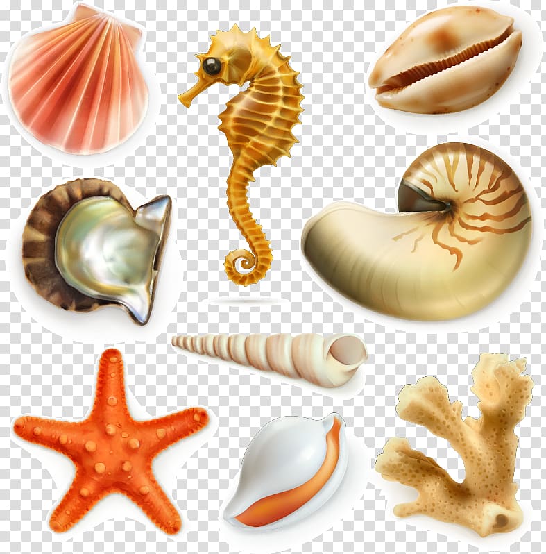 Fishes of the World Seahorse Marine biology, Sea biological transparent background PNG clipart