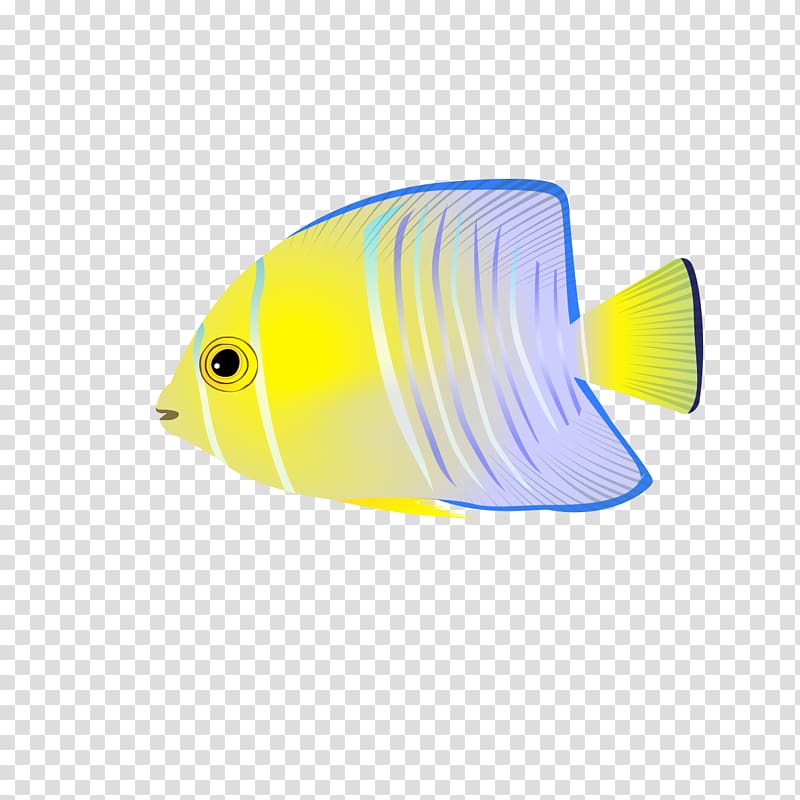 Fish, Swimming fish transparent background PNG clipart