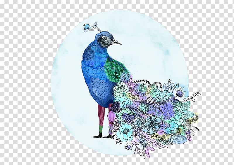 Beak Blue jay Feather, van der pauw transparent background PNG clipart