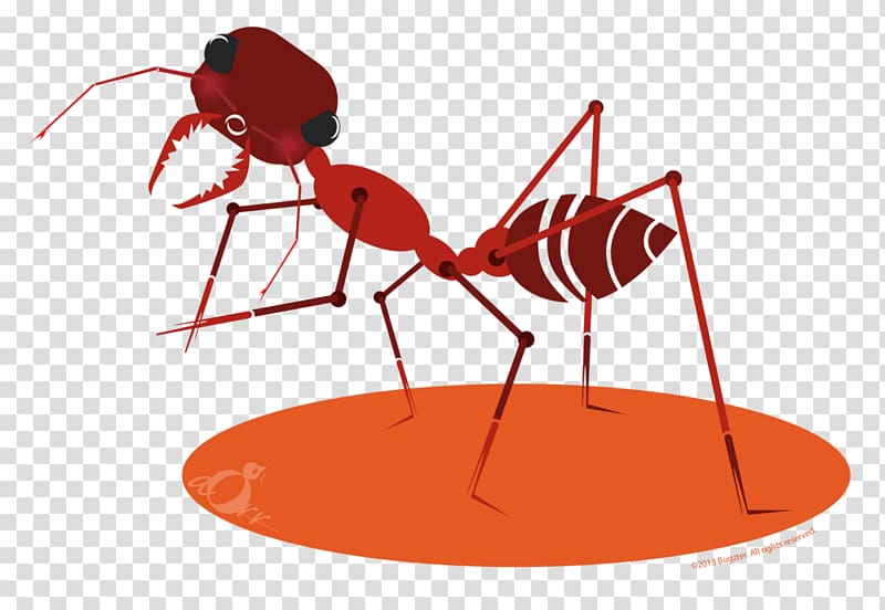 Free Download The Ants Atom Ant Insect Of Ants For Kids