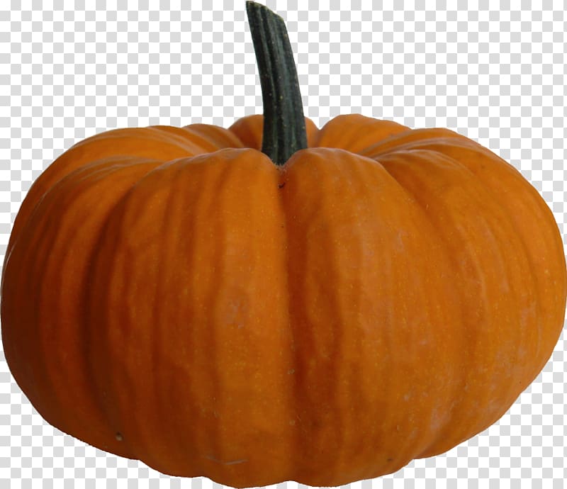 Pumpkin pie Big Pumpkin Portable Network Graphics , pumpkin transparent background PNG clipart