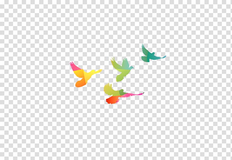 colorful flying birds png