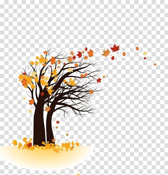 Tree , Falling feathers transparent background PNG clipart