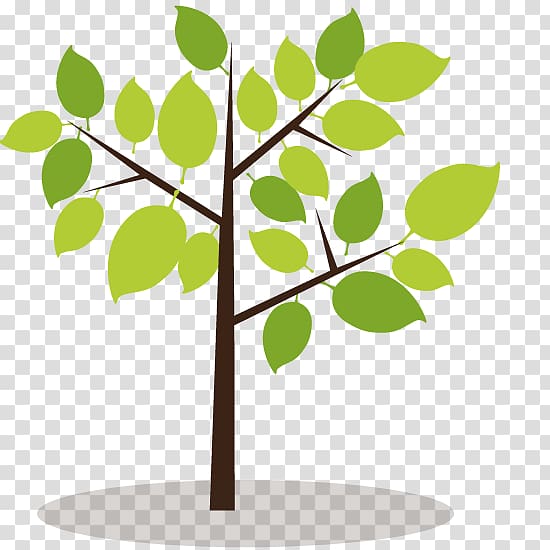 Tree, money tree transparent background PNG clipart