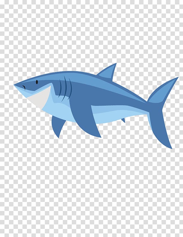 Requiem shark, Cartoon shark transparent background PNG clipart