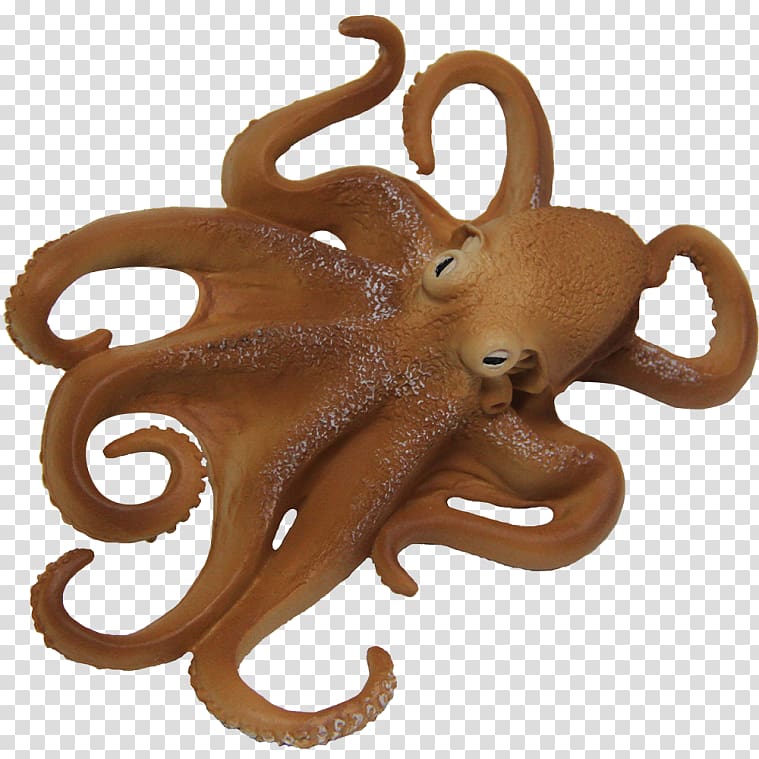 Octopus Squid Invertebrate , octopus real transparent background PNG clipart