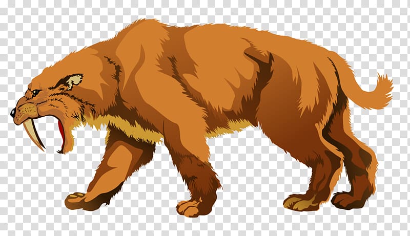 Saber-toothed tiger Saber-toothed cat La Brea Tar Pits Woolly mammoth, china tiger transparent background PNG clipart