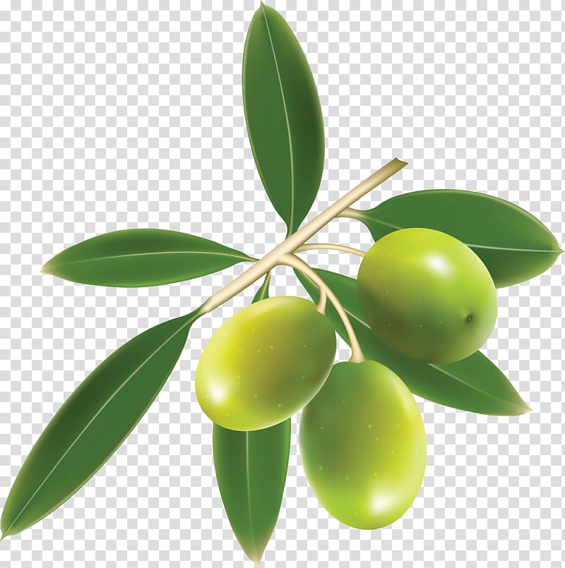 Olive oil Mediterranean cuisine, Green olives transparent background PNG clipart