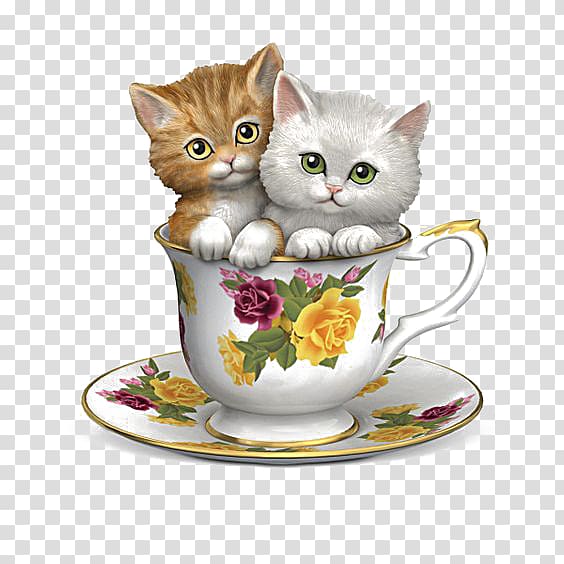 two orange and gray kittens on cup with saucer, Teacup cat transparent background PNG clipart
