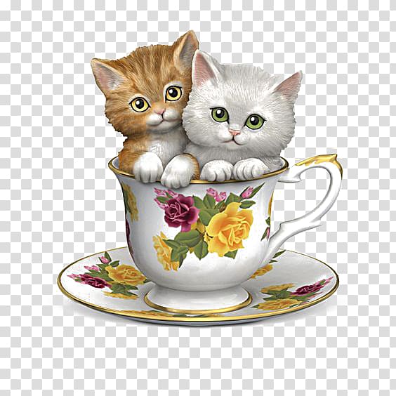 teacup cat transparent background PNG clipart