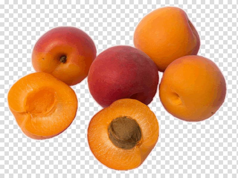 Apricot kernel Apricot oil Amygdalin Fruit, apricot transparent background PNG clipart