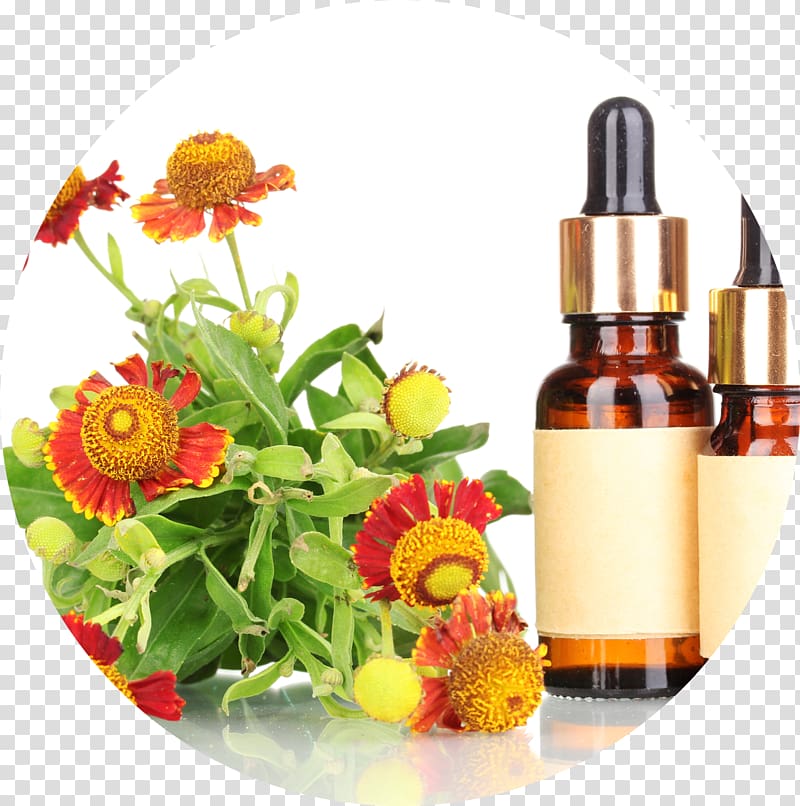 Bach flower remedies Therapy Homeopathy Apotheke am Zoo Health, health transparent background PNG clipart