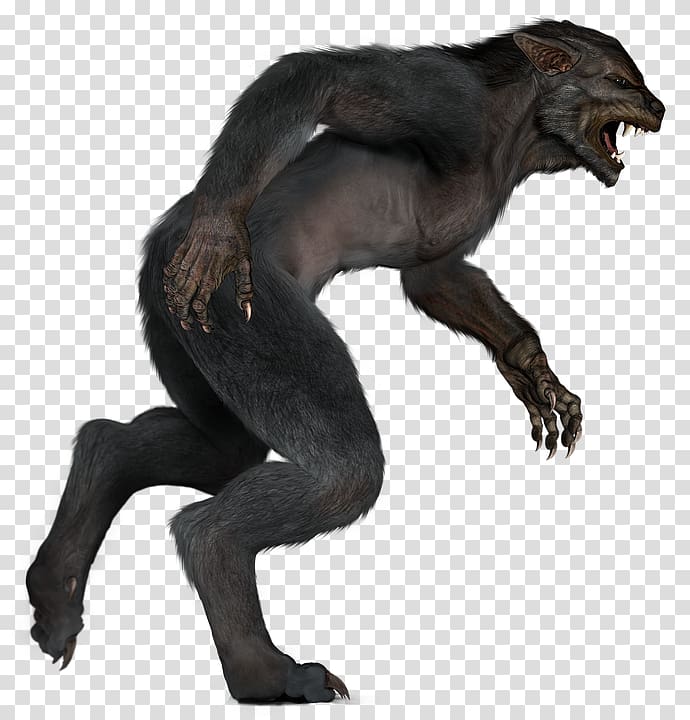 Werewolf transparent background PNG clipart