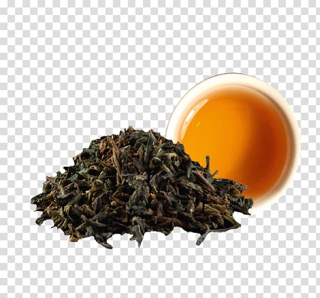 Darjeeling tea Nilgiri tea Dianhong Oolong, tea transparent background PNG clipart