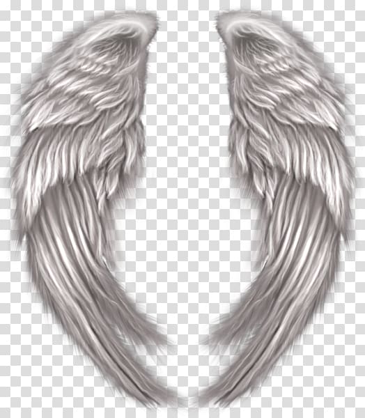 , Angel Devil transparent background PNG clipart