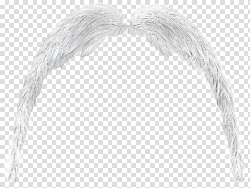 Angel wing Butterfly Angel wing, maximo transparent background PNG clipart