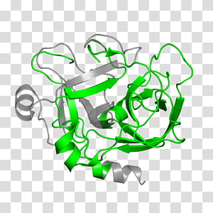 Line art Cartoon , design transparent background PNG clipart thumbnail