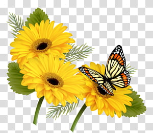 Butterfly Flower Yellow , sunflower transparent background PNG clipart thumbnail