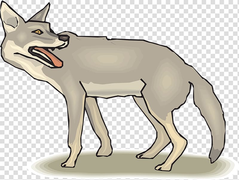 Jackal, coyote transparent background PNG clipart