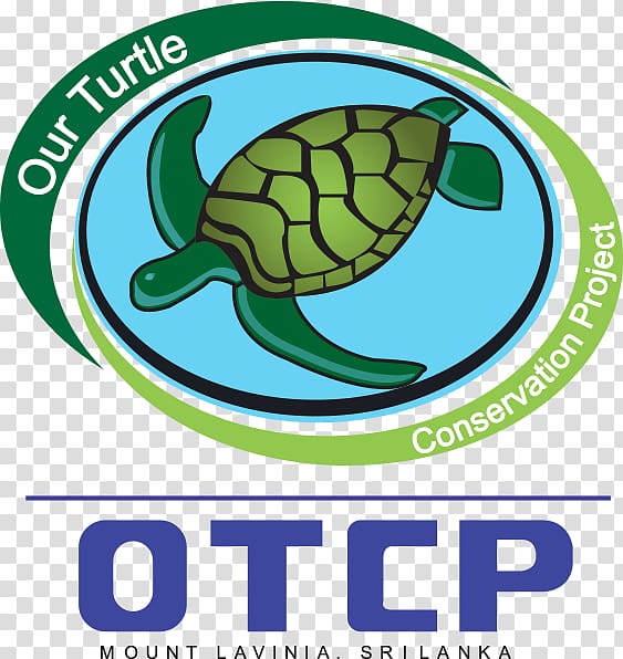 Endangered sea turtles Sea Turtle Restoration Project Tortoise, turtle transparent background PNG clipart
