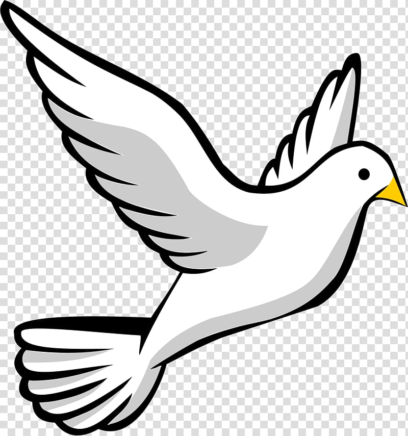 Bird flight , Dove transparent background PNG clipart